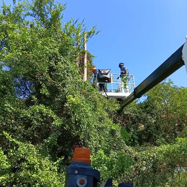 Trabajo en altura con canastilla